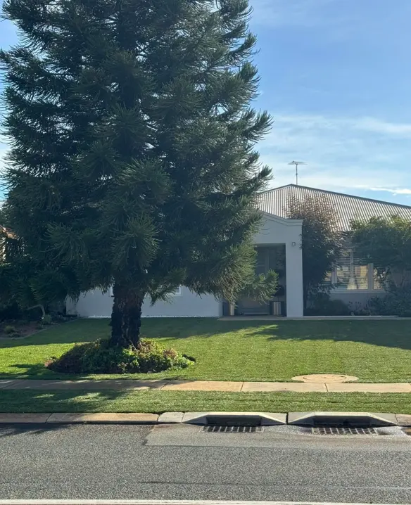 Well-maintained lawn with seasonal flower beds