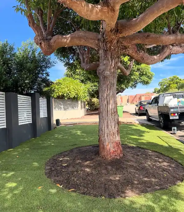 Completed landscaping project by Herbs Coastal Landscapes servicing Mount Claremont
